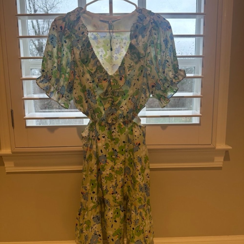 Collective Concepts Spring Dress